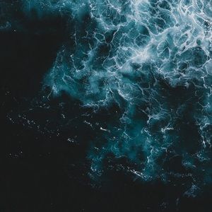 Meet your Posher, Caitlin